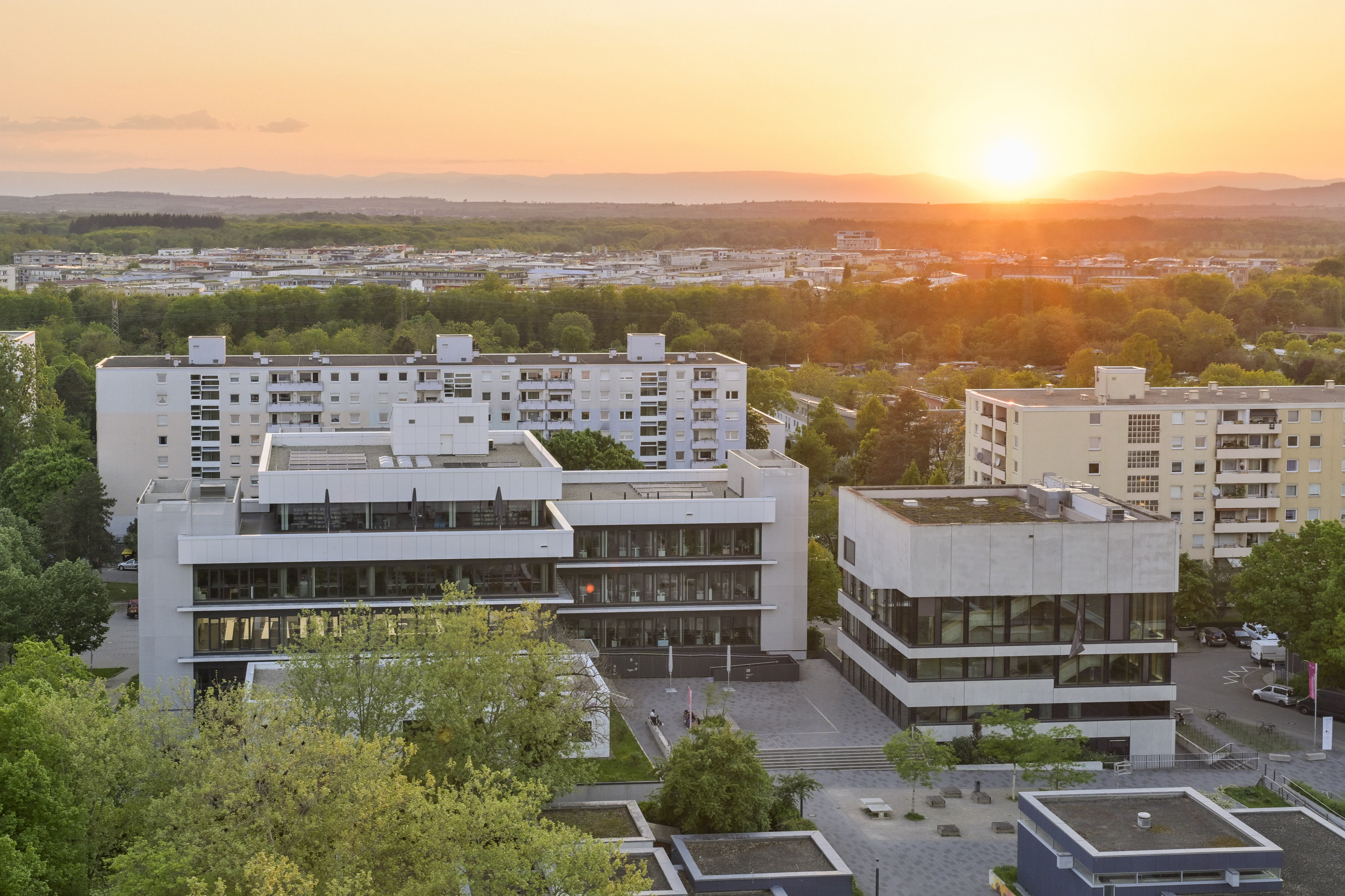 Konferenz der Rektor*innen Evangelischer Hochschulen wählt neues Präsidium